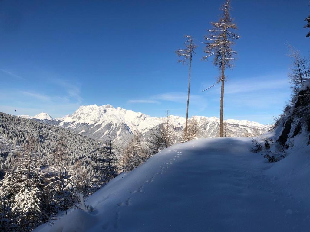 Appartementhaus Alma Kültér fotó